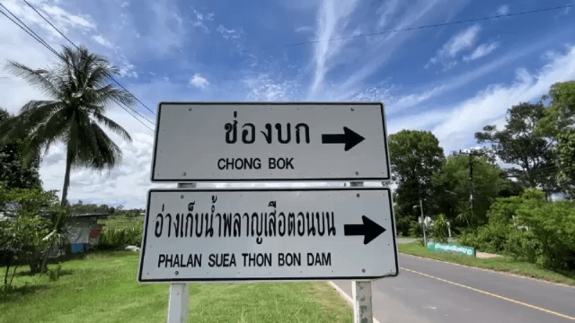 chong_4523d3f542
