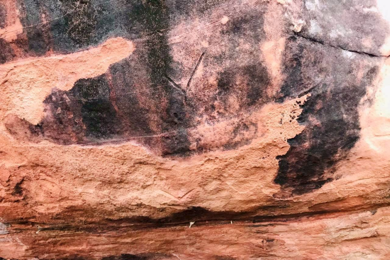 c1_3089501