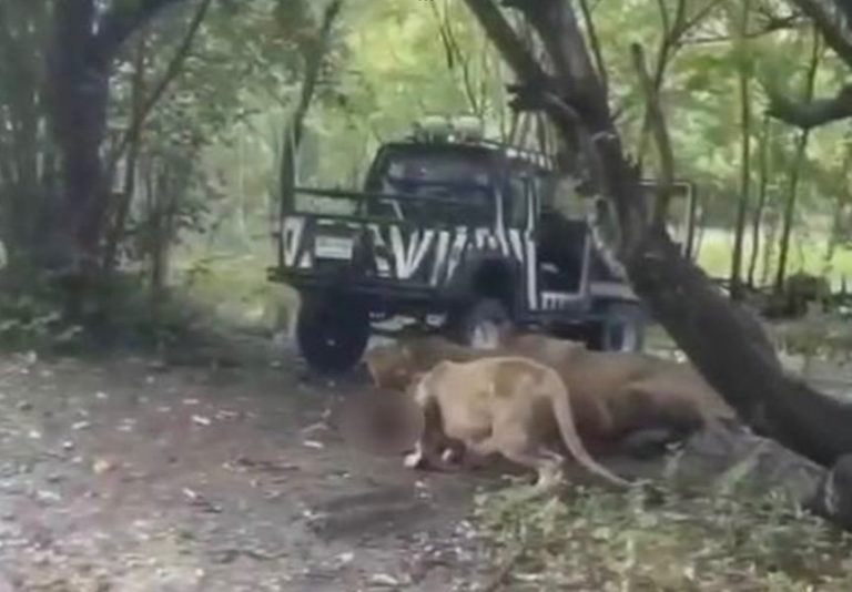 image.jpeg.bfbacf64f4585db06f0437bc4d33e708