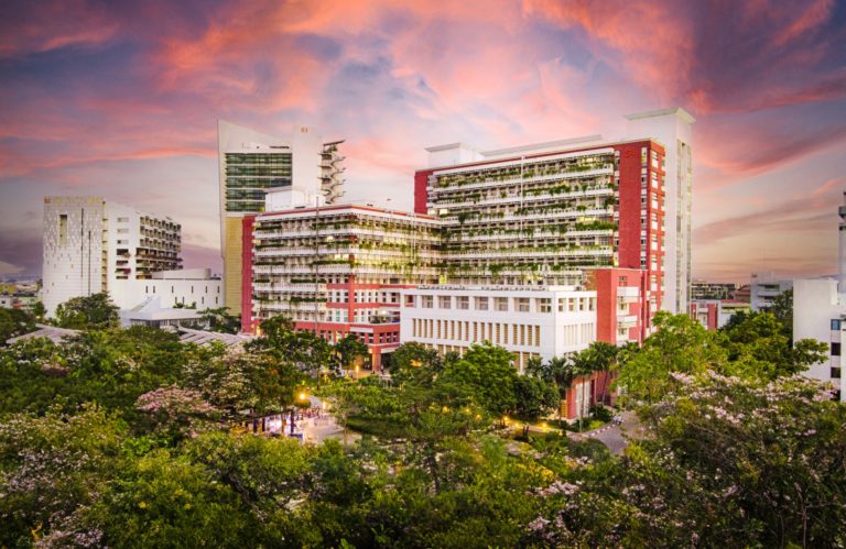 DJI_0205-copy-scaled