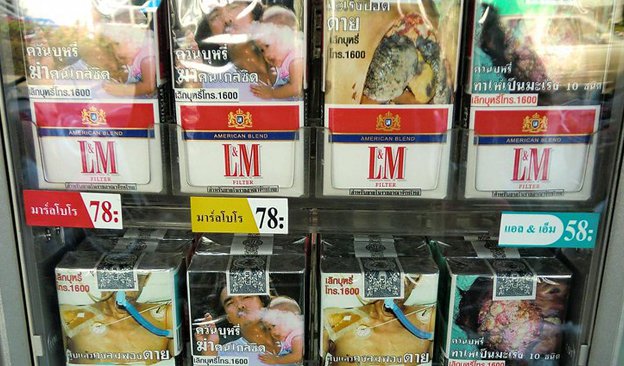 Newsletter-624x366-ThaiGovt