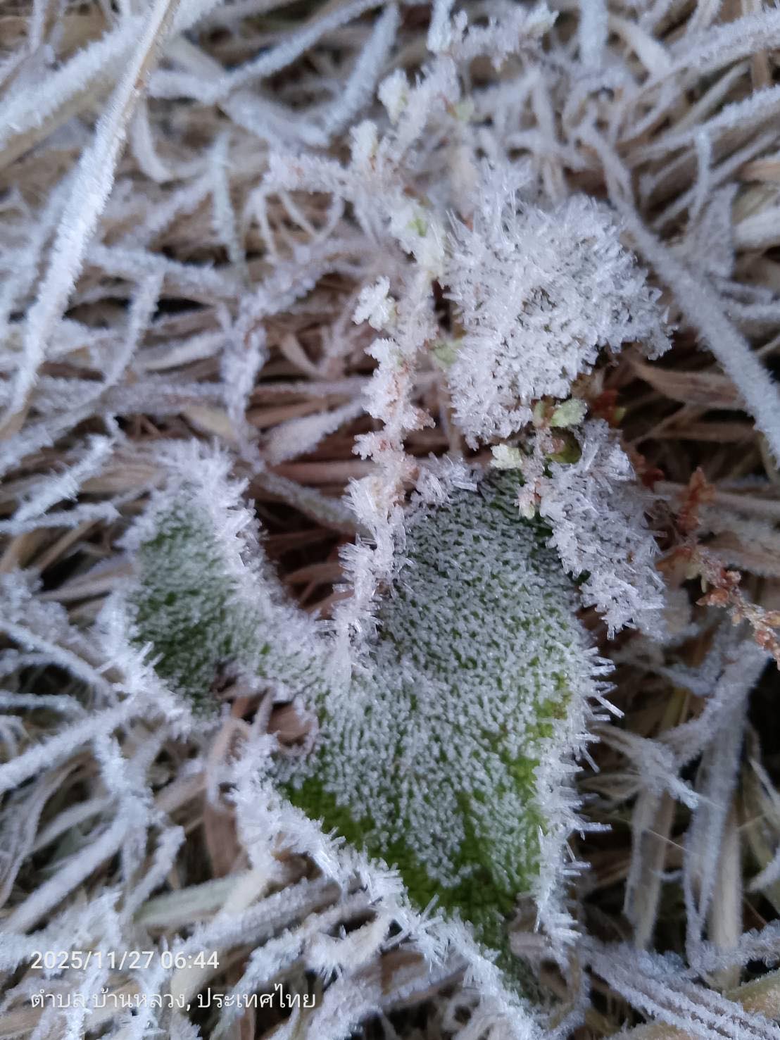 589813976_1406045867558162_5165140031882667690_n