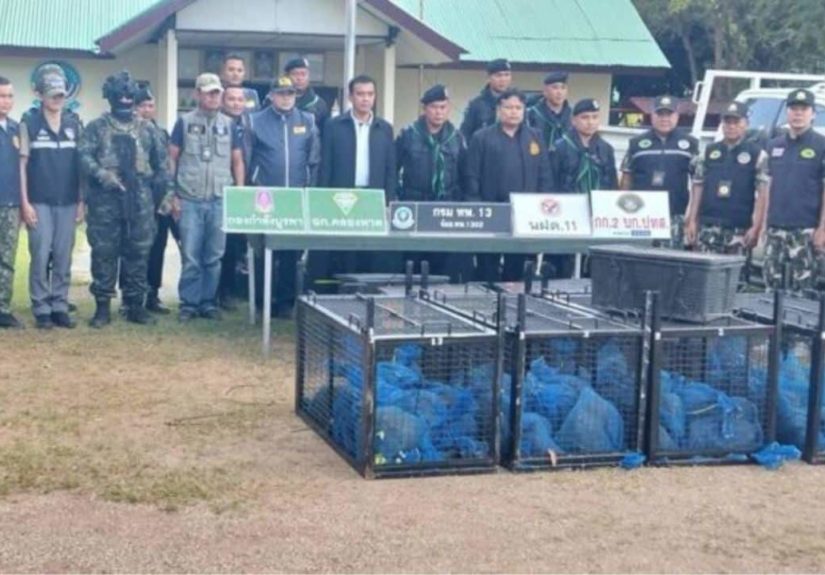 Thaiger-News-Featired-Image-18-1