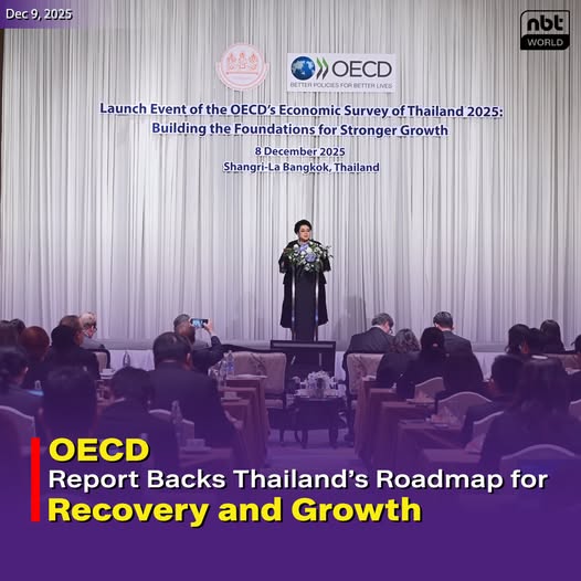 596375376_1258609186303209_399586144607722674_n