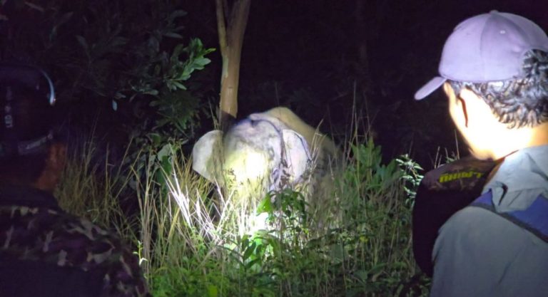 FB_IMG_1769453610389-1068x580