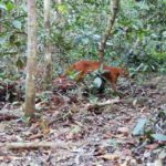 c1_3170238_260107112335_800