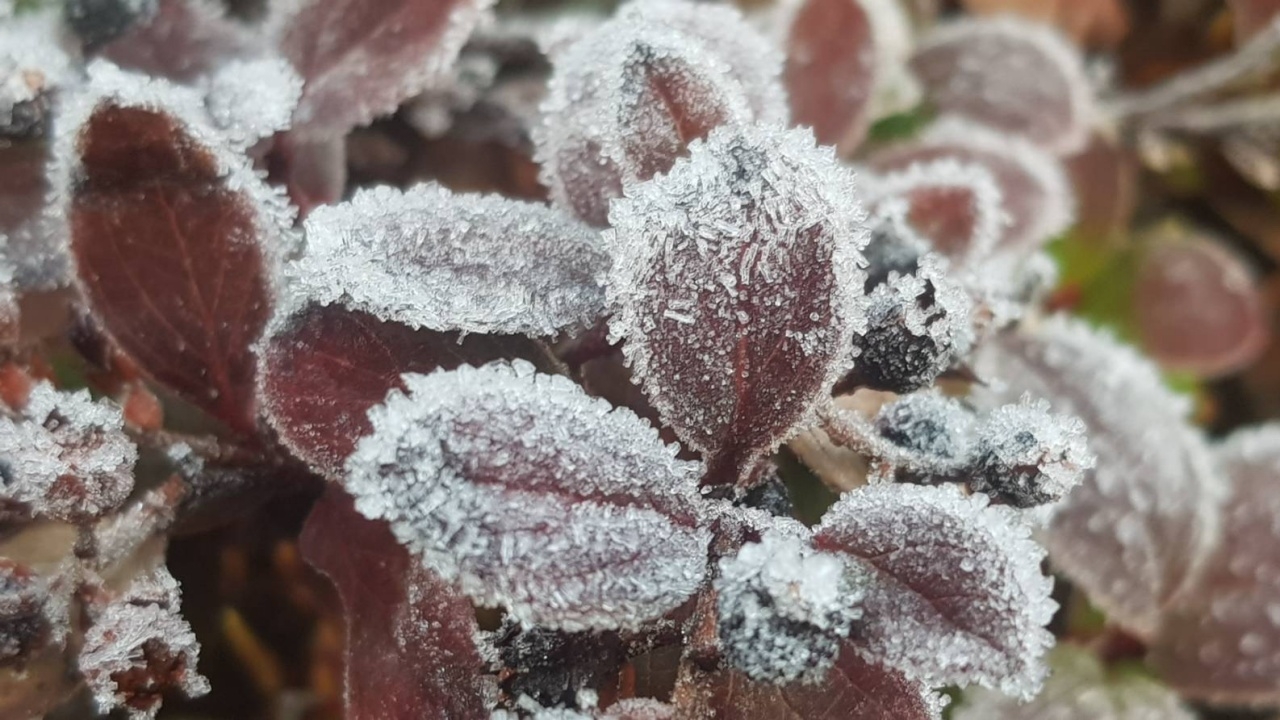 dFQROr7oWzulq5Fa7HSmrk3QaJg5SiWL8UEFX0cgmqahbHkEyDwpLcZNVE2sCClT1Zq