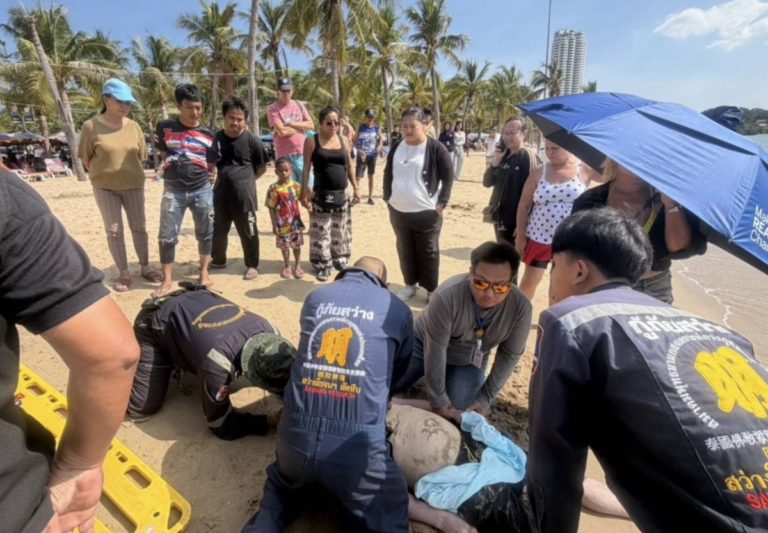 image.jpeg.31ff97305d80b4151d43aa177ebbe1f1