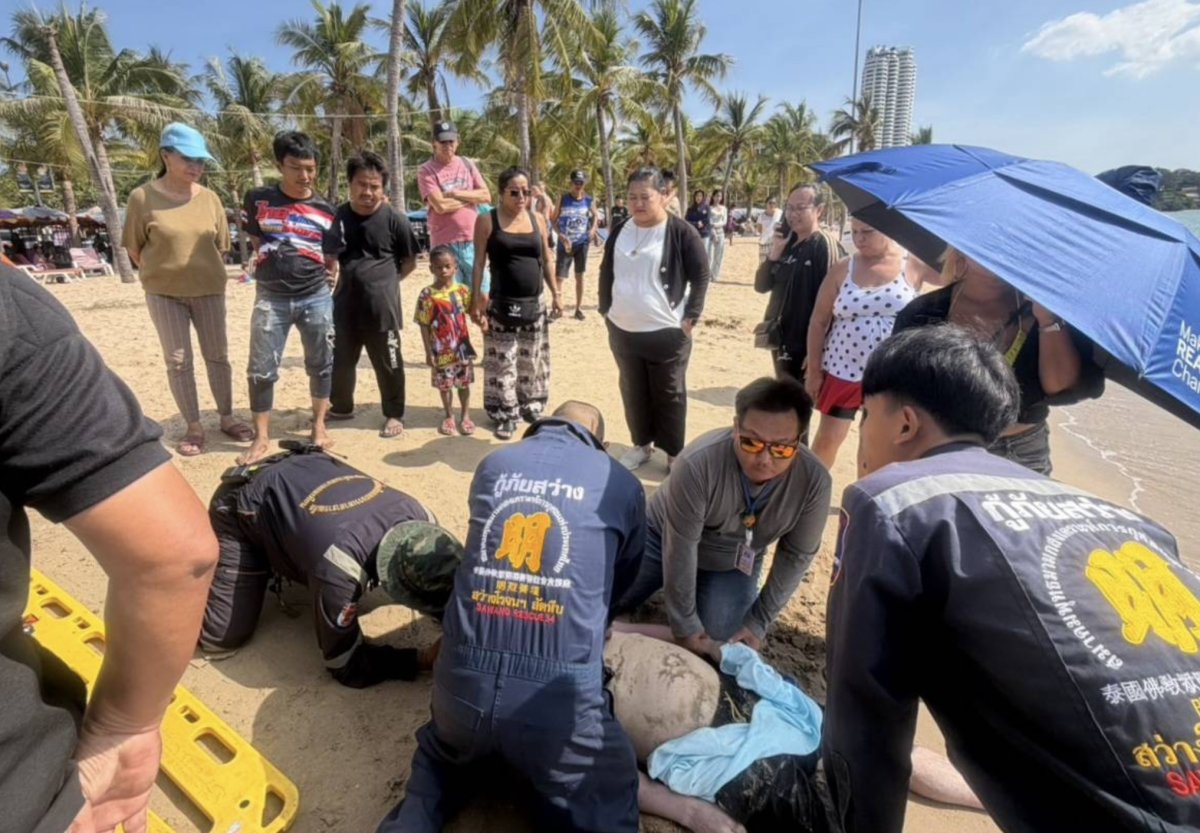 image.jpeg.31ff97305d80b4151d43aa177ebbe1f1