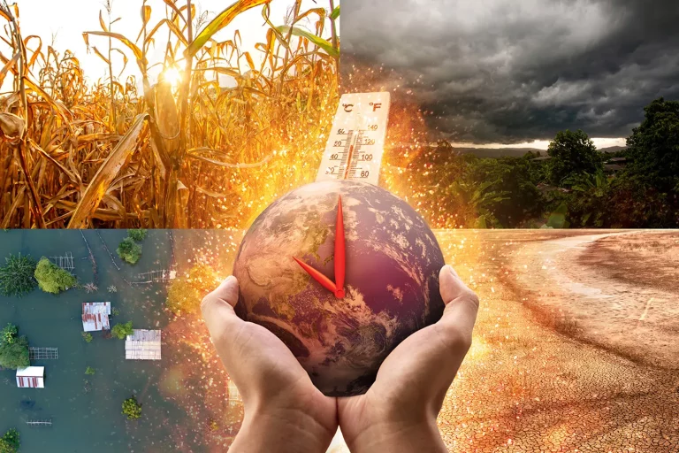 sustainability-new-enso-cycle-likely-by-end-of-2025-SPACEBAR-Hero