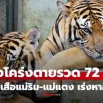 1newnewnewnewnewnewnew-thumbn