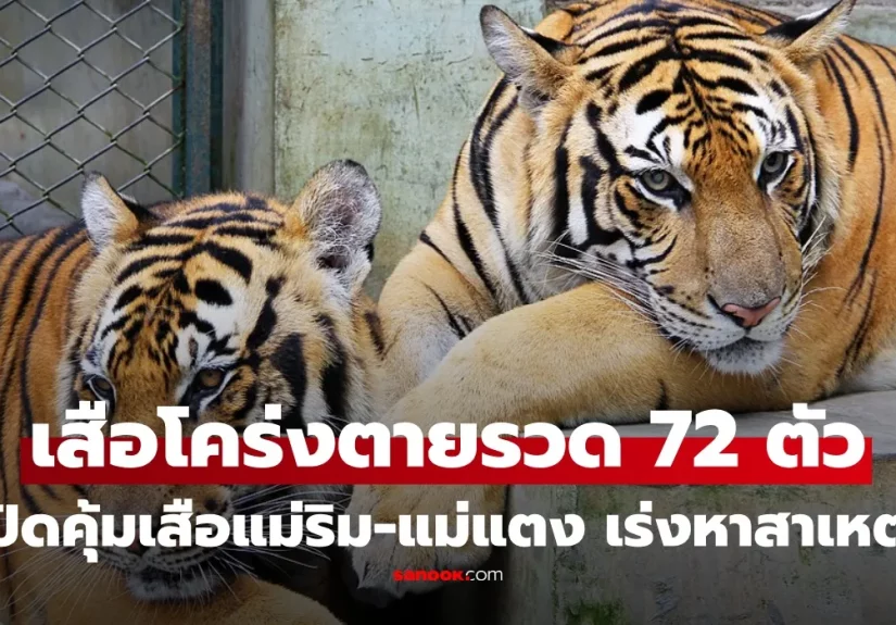 1newnewnewnewnewnewnew-thumbn