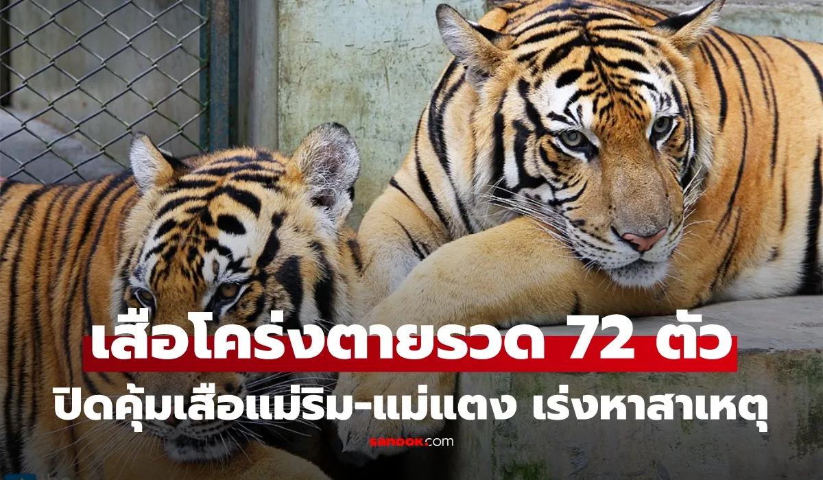 1newnewnewnewnewnewnew-thumbn