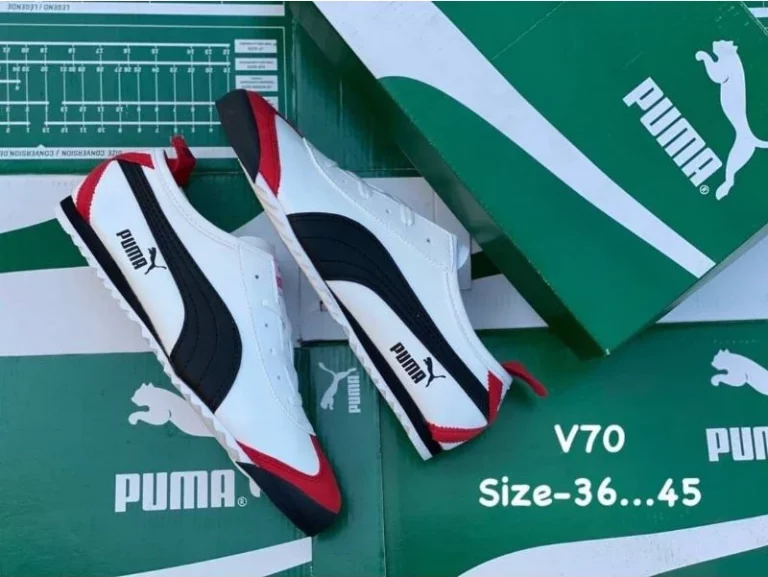 66043cea7e09365a47c63091d5f20b5c