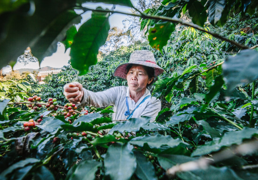 71d9c49d-cf5a-4016-9f6e-2d5cb30f7de6