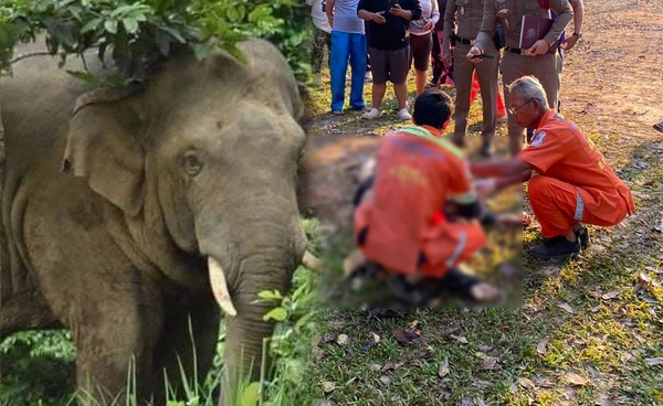 ac63b137-1e0e-476e-bd9d-60075d7432bc