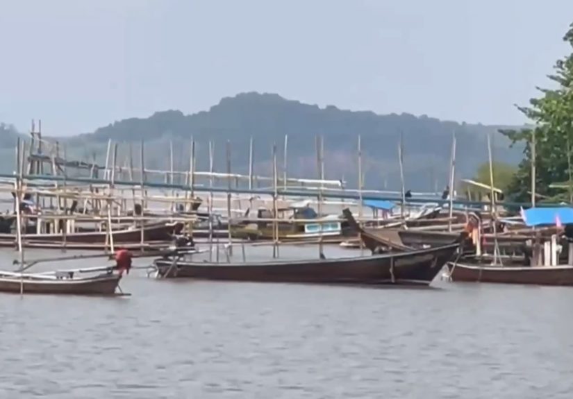 1773308555533_26fceef5a9