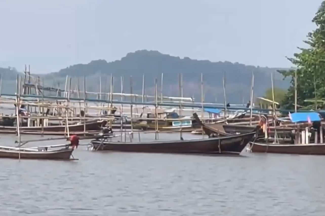 1773308555533_26fceef5a9