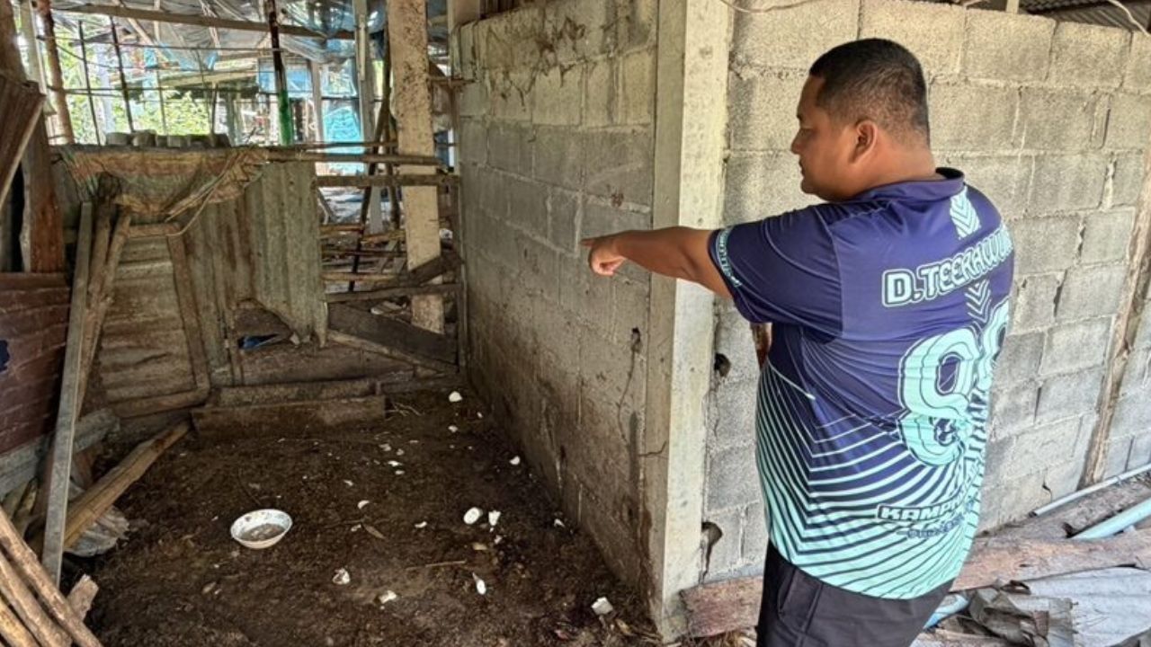 สำเนาของ-23-34-2026-03-02T113603.398