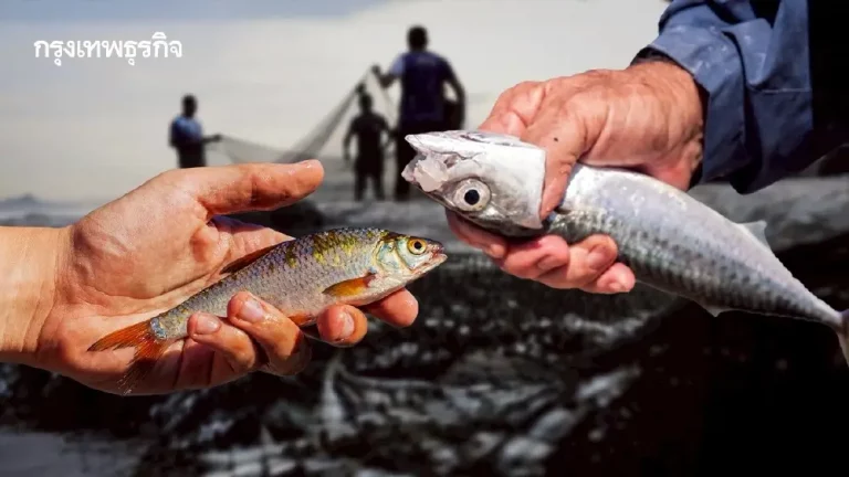 MA5k6EbvT8JtdIEE9oIP