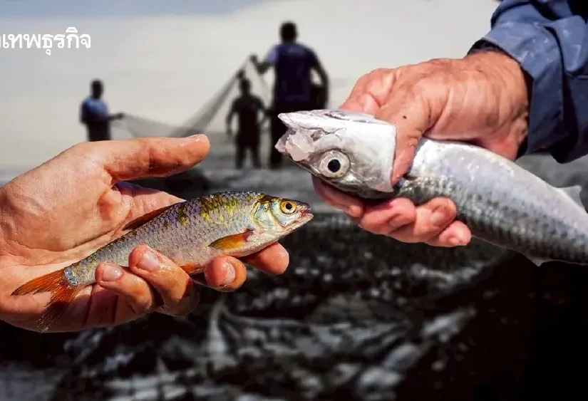 MA5k6EbvT8JtdIEE9oIP