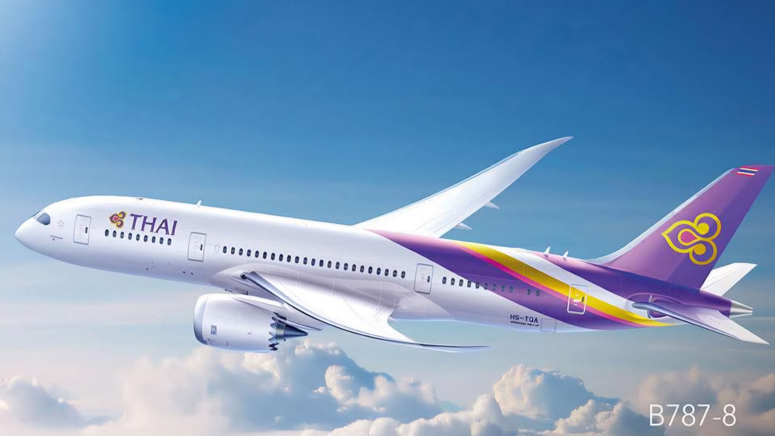 air-journal-boeing-787-8-dreamliner-en-vol-en-vol-source-thai-airways
