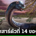 dFQROr7oWzulq5Fa7HCLbanDAfA7eLjOPFXaJNRvsbsWcy4bNzdq7BsbsCFOmEK4FrF