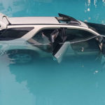 pond_headline_0