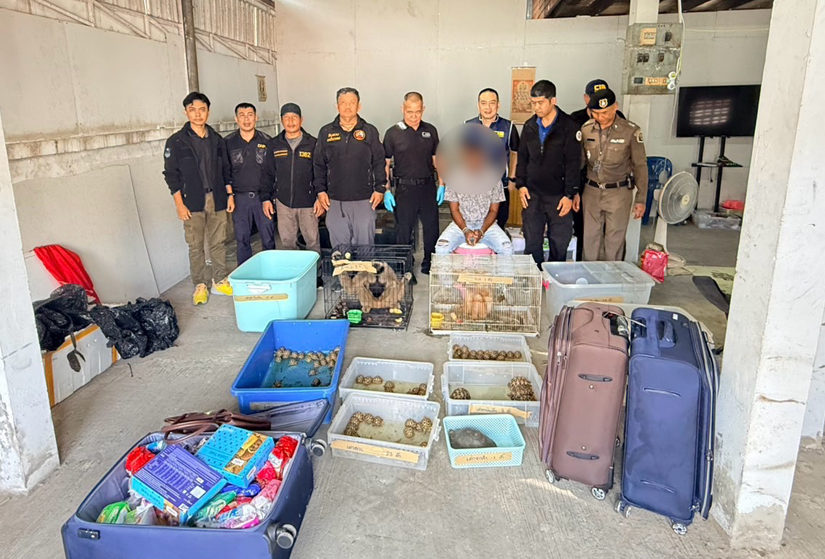 Police-arrest-four-Indians-in-wildlife-trafficking-crackdown