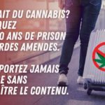 cannabis