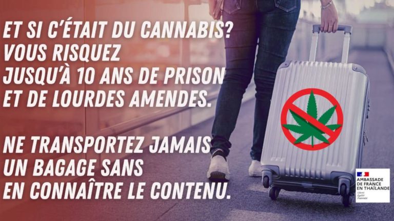 cannabis