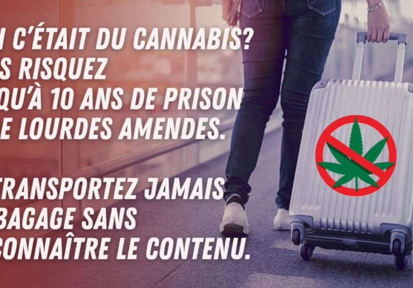 cannabis