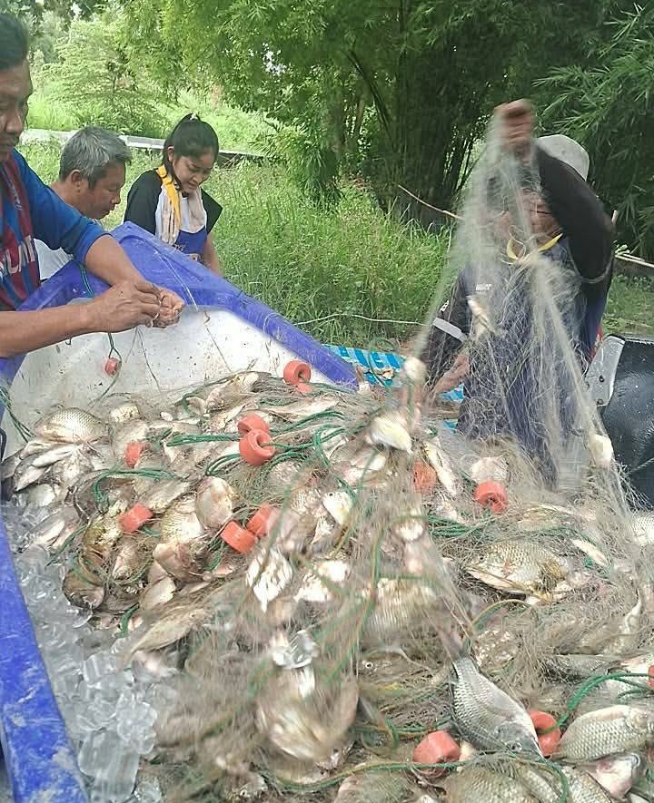 news154375_pqzwscDG071786696603